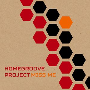 Miss Me by Homegroove Project