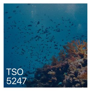 5247 by TSO