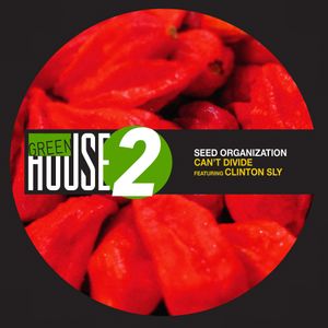 Can’t Divide by Seed Organization feat. Clinton Sly