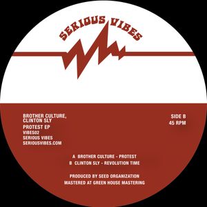 Protest by Brother Culture, Clinton Sly, Seed Organization